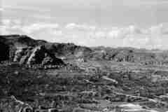 ���� ������ ��� ��� ����